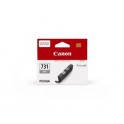 Canon CLI-731 Grey Ink